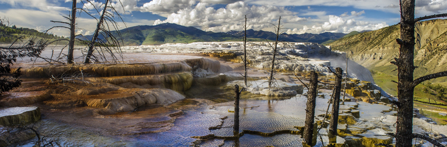 yellowstone e teton viaggio di gruppo perusia viaggi